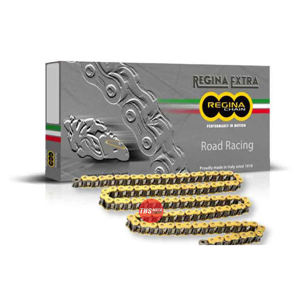 Regina 135/520 Gpe Superbike/Supersport Race Chain 120 Links Was Gpz