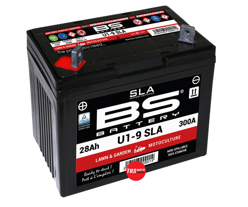 BS Ride On Lawn Mower Battery SLA Battery Maintenance Free Factory Activated - U1-9