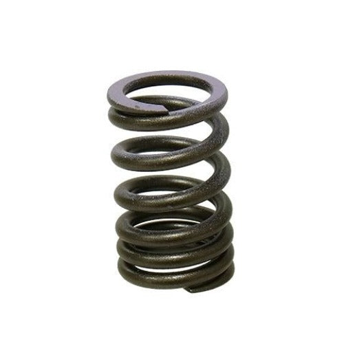 Psychic Mx *Inlet Valve Spring Kx250F 07-08