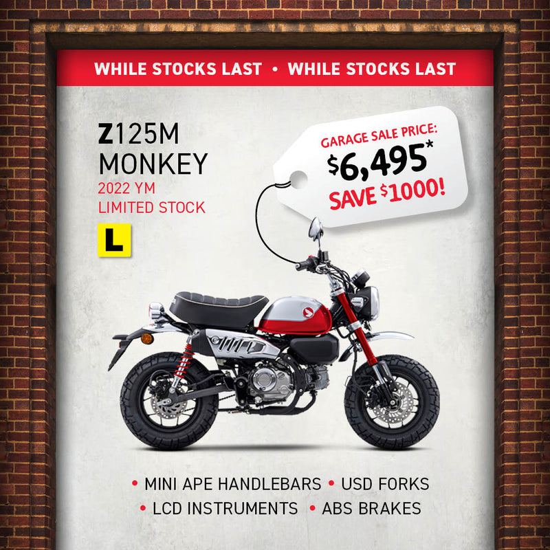 Monkey Z125