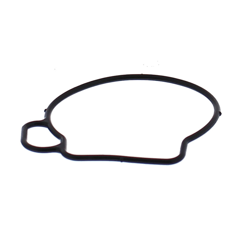 FLOAT BOWL GASKET ONLY KIT